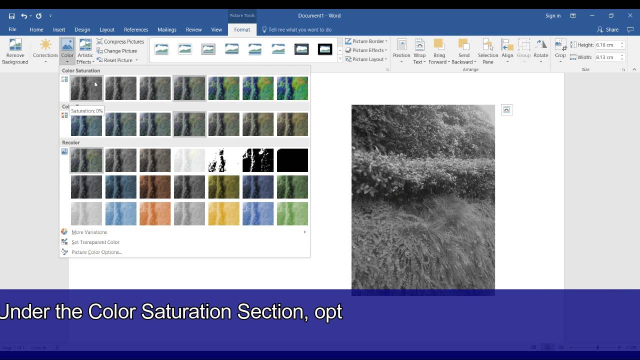 How to crop picture in microsoft word 2016